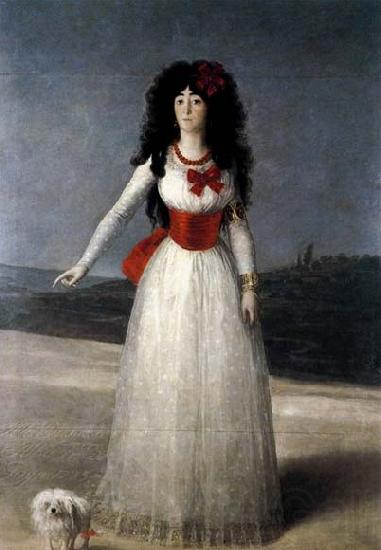 Francisco de goya y Lucientes The Duchess of Alba France oil painting art